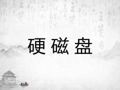 硬磁盘 硬磁盘