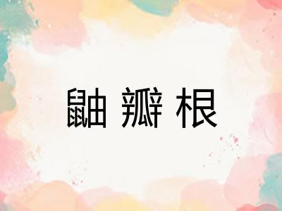 鼬瓣根