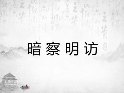 暗察明访 暗察明访
