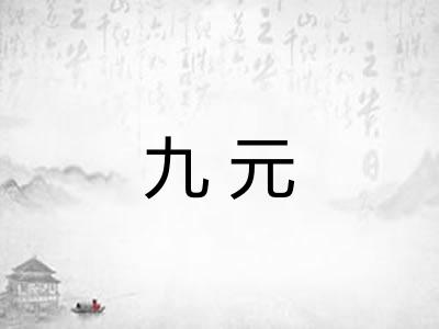 九元