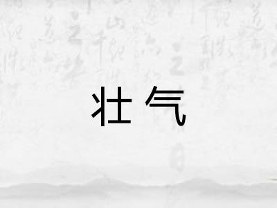 壮气