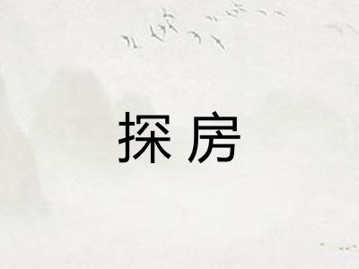 探房 探房