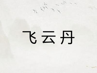 飞云丹