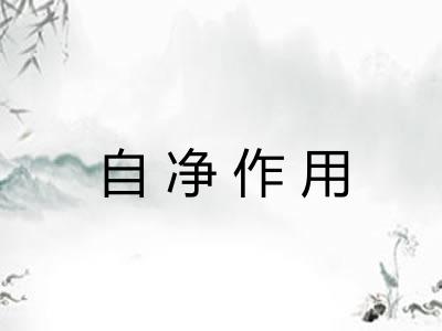 自净作用 自净作用
