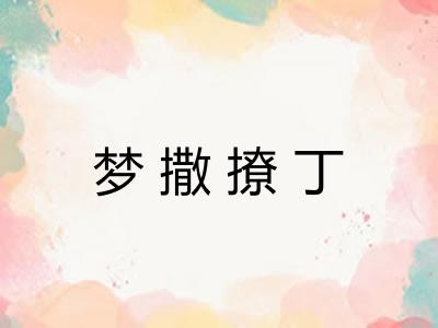 梦撒撩丁