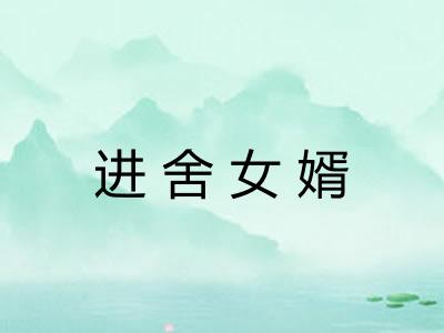 进舍女婿