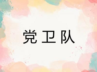 党卫队