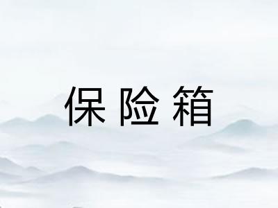 保险箱 保险箱