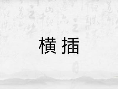 横插