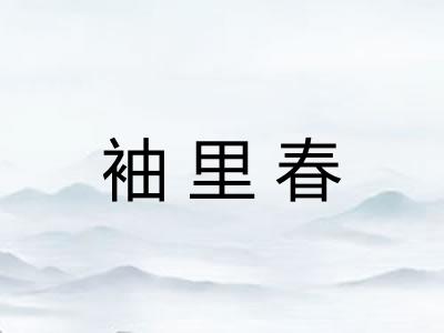 袖里春