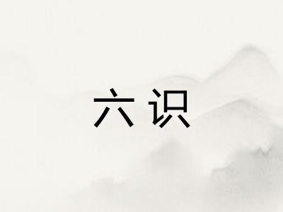 六识