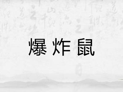 爆炸鼠