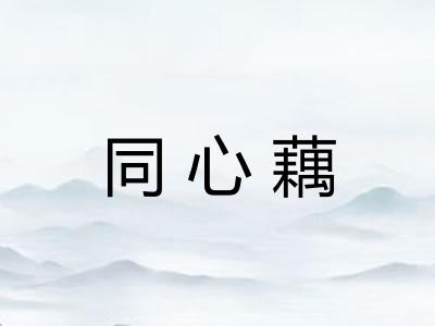 同心藕