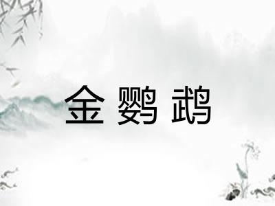 金鹦鹉 金鹦鹉