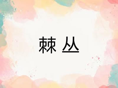 棘丛