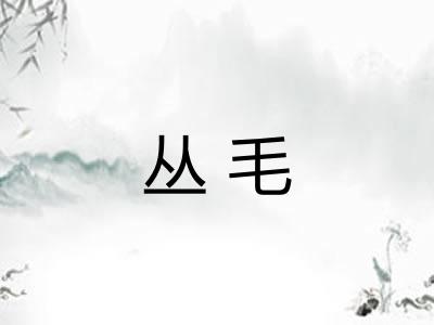 丛毛 丛毛