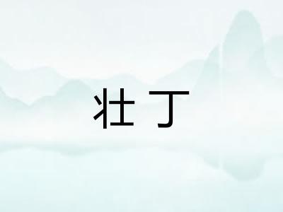 壮丁