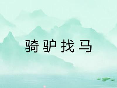 骑驴找马