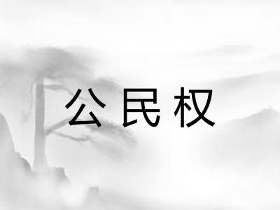 公民权