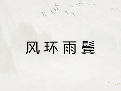 风环雨鬓 风环雨鬓