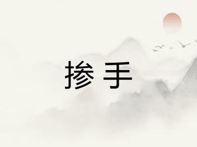 掺手