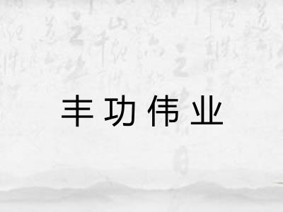 丰功伟业 丰功伟业