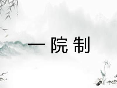 一院制