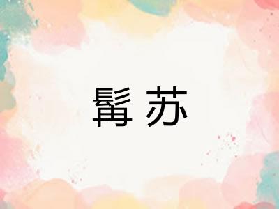 髯苏