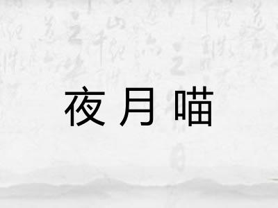 夜月喵