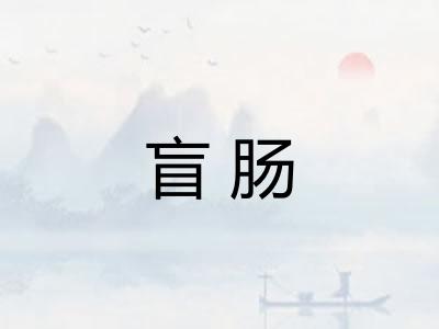 盲肠