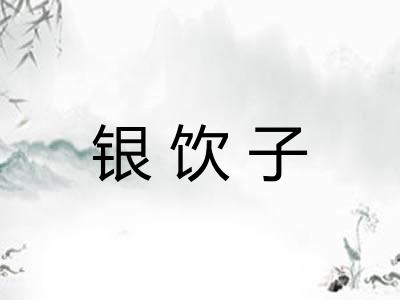 银饮子