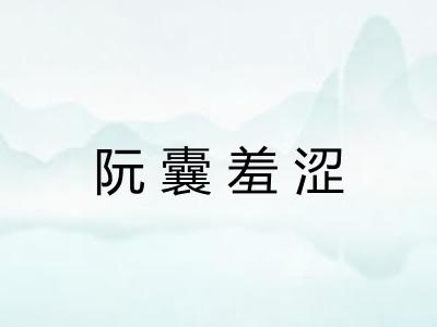 阮囊羞涩