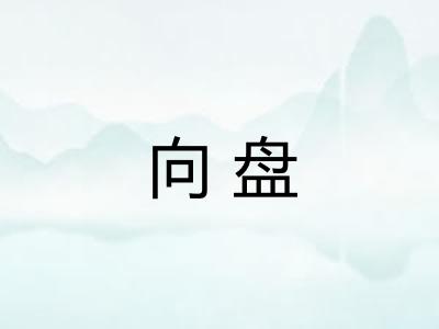 向盘