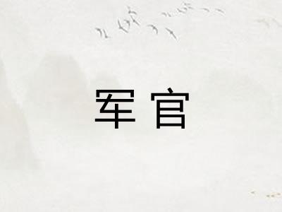 军官 军官