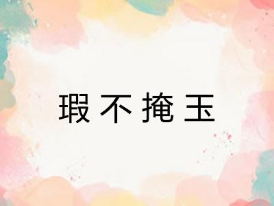 瑕不掩玉
