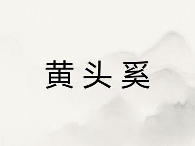 黄头奚