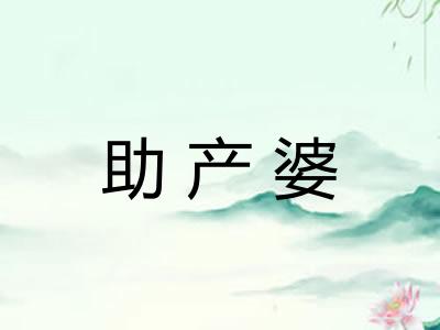 助产婆 助产婆