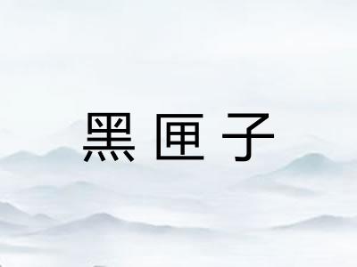 黑匣子