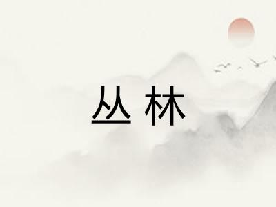 丛林 丛林
