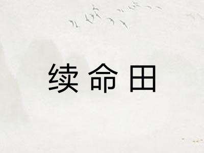 续命田