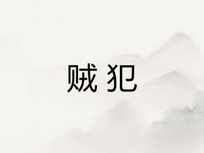 贼犯