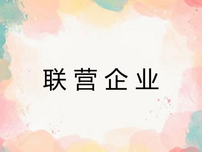 联营企业