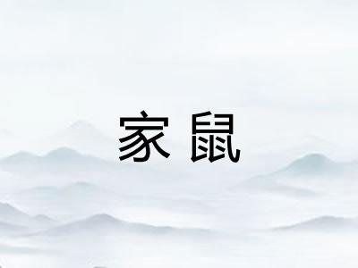 家鼠