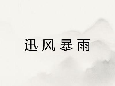 迅风暴雨