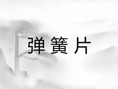 弹簧片
