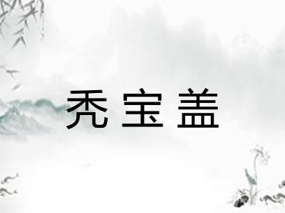 秃宝盖