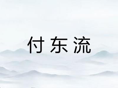 付东流