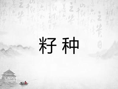 籽种
