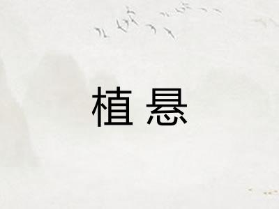 植悬