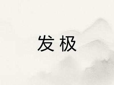 发极 发极